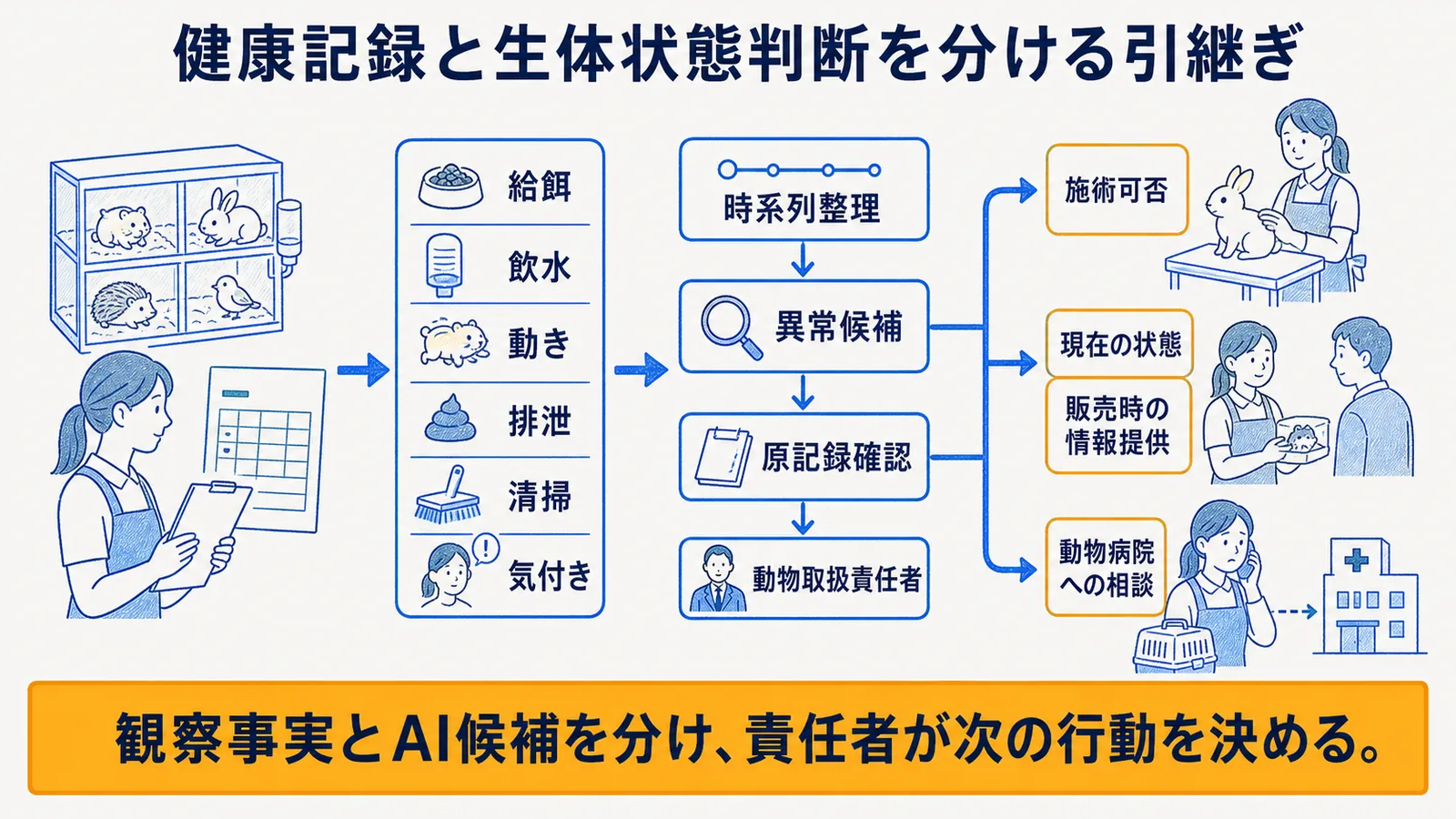 業務場面・AI支援・責任者・専門家判断の対照表