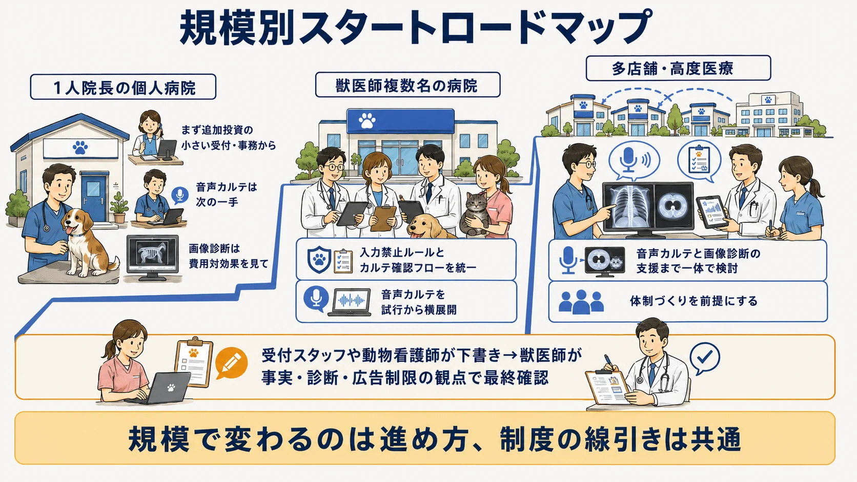 動物病院の規模別スタートロードマップ：1人院長・複数獣医師・多店舗それぞれの着手順を示す図